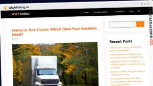 Publish Guest Post on whyblinking.us
