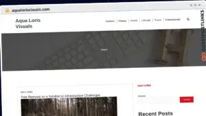 Publish Guest Post on aqualorisvisuals.com
