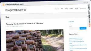 Publish Guest Post on boogiemangeorge.com