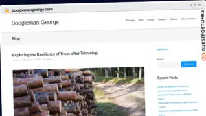 Publish Guest Post on boogiemangeorge.com