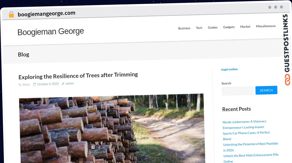 Publish Guest Post on boogiemangeorge.com