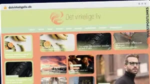 Publish Guest Post on detvirkeligeliv.dk