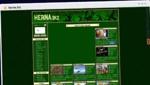Publish Guest Post on herna.biz