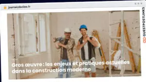 Publish Guest Post on journalzibeline.fr