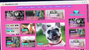 Publish Guest Post on lifeenforcer.com