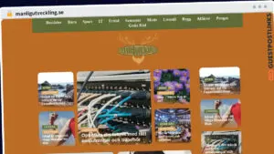 Publish Guest Post on manligutveckling.se