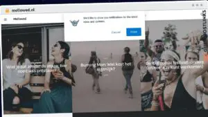 Publish Guest Post on mellowed.nl