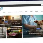 Publish Guest Post on pepseo.fr