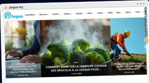 Publish Guest Post on pingoo.org