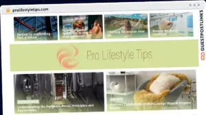 Publish Guest Post on prolifestyletips.com