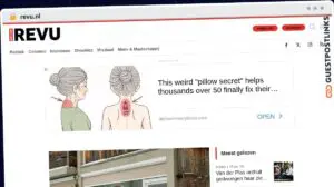 Publish Guest Post on revu.nl
