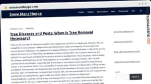 Publish Guest Post on snowmanshoppe.com