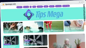 Publish Guest Post on tipsmega.com