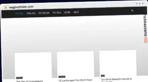 Publish Guest Post on vegghoyttaler.com