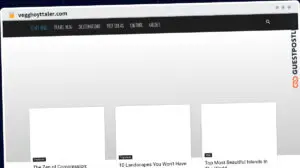 Publish Guest Post on vegghoyttaler.com