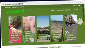 Publish Guest Post on greenwire.newsx.agency