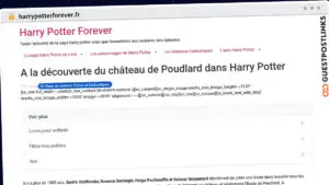 Publish Guest Post on harrypotterforever.fr