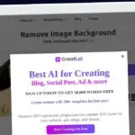Publish Guest Post on sharkfoto.com