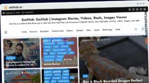Publish Guest Post on smihub.us