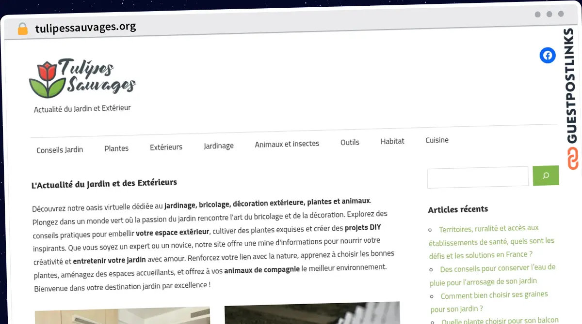Publish Guest Post on tulipessauvages.org