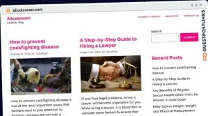 Publish Guest Post on allcelenews.com