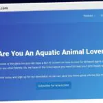 Publish Guest Post on aquamarinepower.com