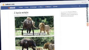 Publish Guest Post on bebzol.com