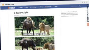 Publish Guest Post on bebzol.com
