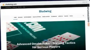 Publish Guest Post on bludwing.com