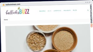 Publish Guest Post on bullocksbuzz.com