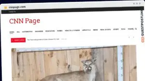 Publish Guest Post on cnnpage.com