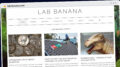 Publish Guest Post on lab-banana.com