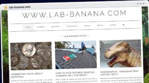 Publish Guest Post on lab-banana.com