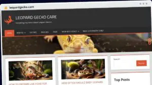Publish Guest Post on leopardgecko.care