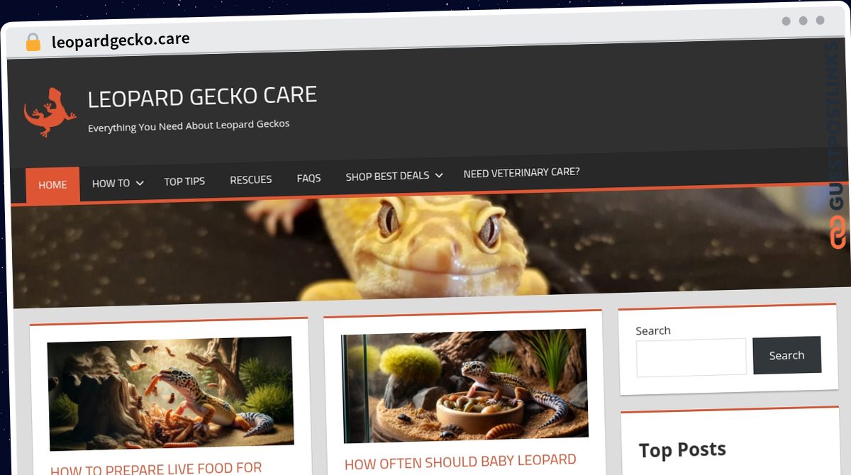 Publish Guest Post on leopardgecko.care