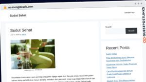 Publish Guest Post on naasongstrack.com