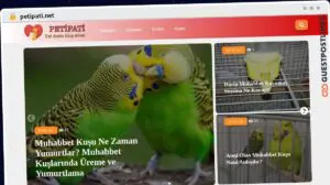 Publish Guest Post on petipati.net