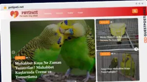 Publish Guest Post on petipati.net