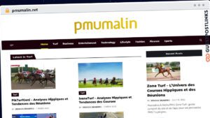 Publish Guest Post on pmumalin.net