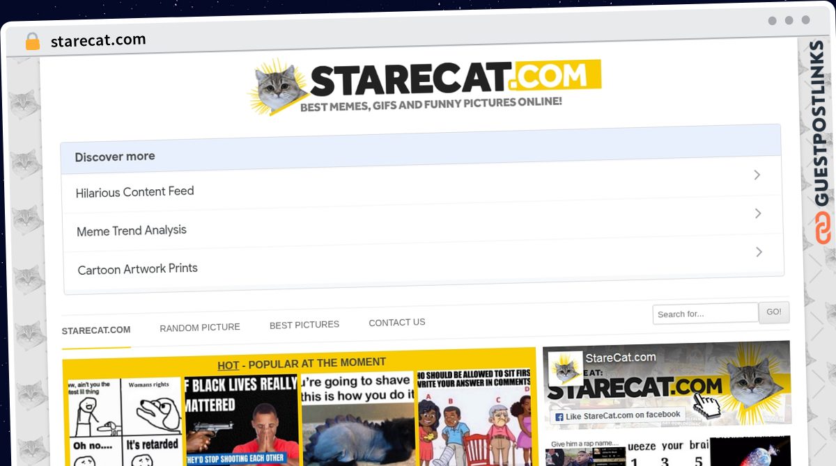 Publish Guest Post on starecat.com