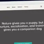 Publish Guest Post on thedailytail.com