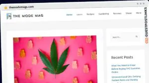 Publish Guest Post on themodemags.com