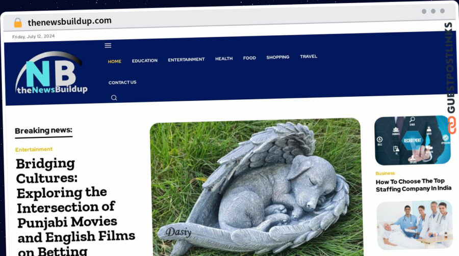 Publish Guest Post on thenewsbuildup.com