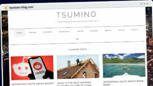 Publish Guest Post on tsumino-blog.com