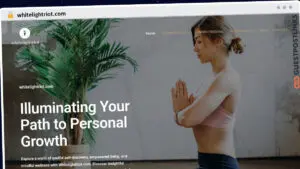 Publish Guest Post on whitelightriot.com