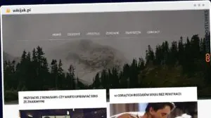 Publish Guest Post on wikijak.pl