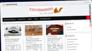 Publish Guest Post on catmario4.org