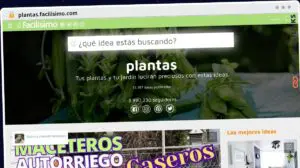 Publish Guest Post on plantas.facilisimo.com