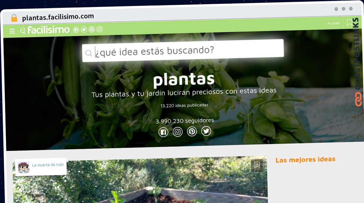 Publish Guest Post on plantas.facilisimo.com