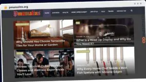 Publish Guest Post on pmumalins.org